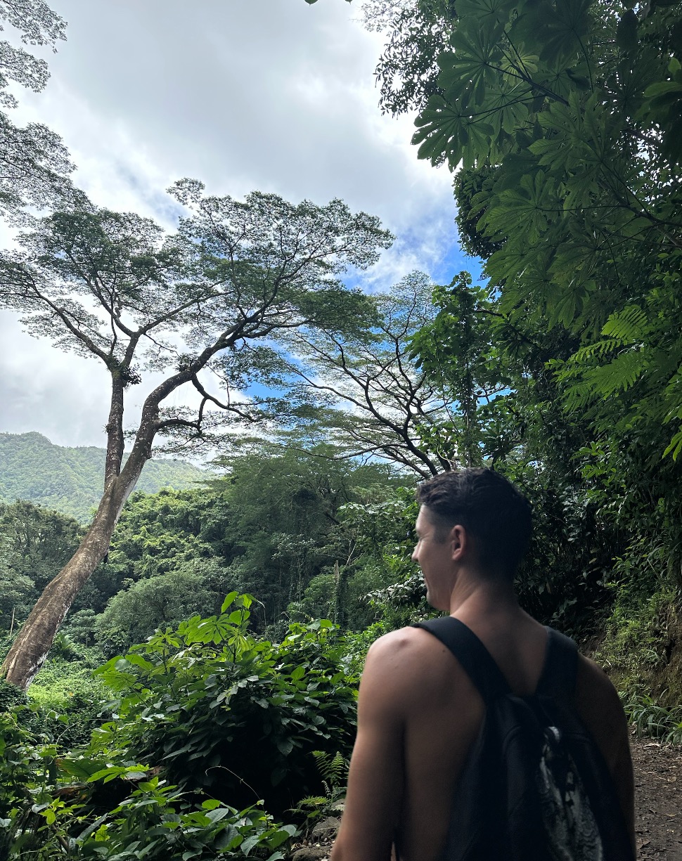 Jayson Hanlon overlooking a lush tropical forest